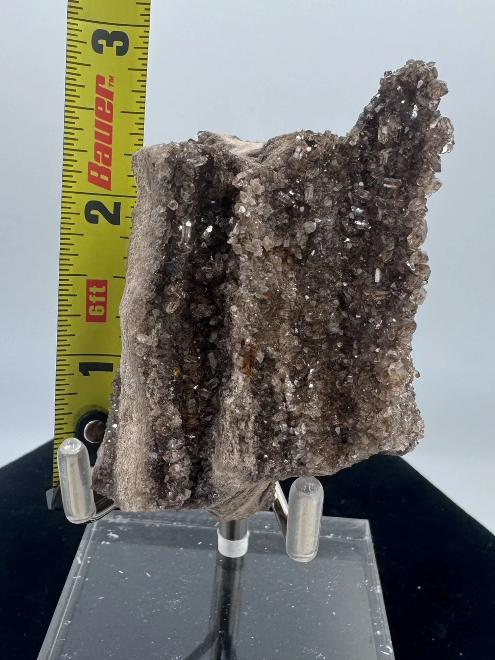 Petrified Wood Druzy Display - Brown Sparkling Crystal Brilliant Alabama